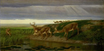 ウィリアム・ホルブルック Painting - 大草原の鹿 ウィリアム・ホルブルックのひげ